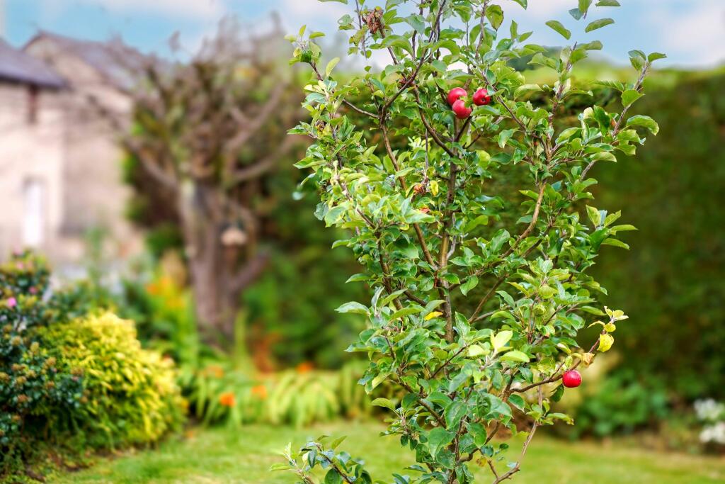 Additional image 36 of Blackburn Road, Egerton, Bolton, BL7