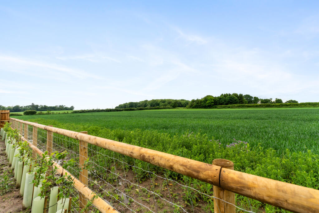 Additional image 24 of Water Lane, Field View, Steeple Bumpstead, Essex, CB9