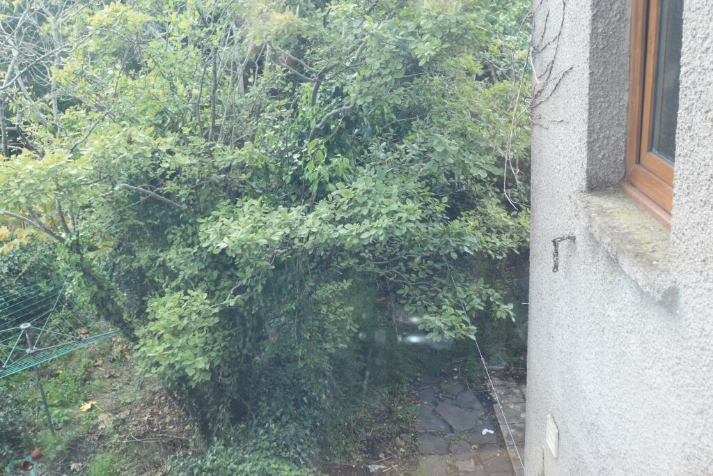 Additional image 9 of Dalton Street, Cathays, Cardiff