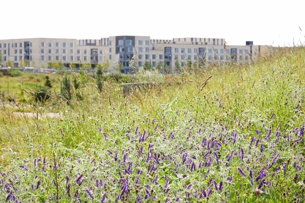 Additional image 19 of The Beech Building, Rudduck Way, Cambridge