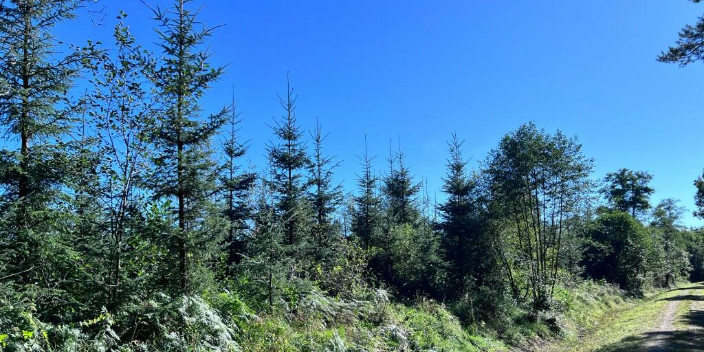 Additional image 4 of Sowerby Wood, Carlisle, Cumbria, CA5