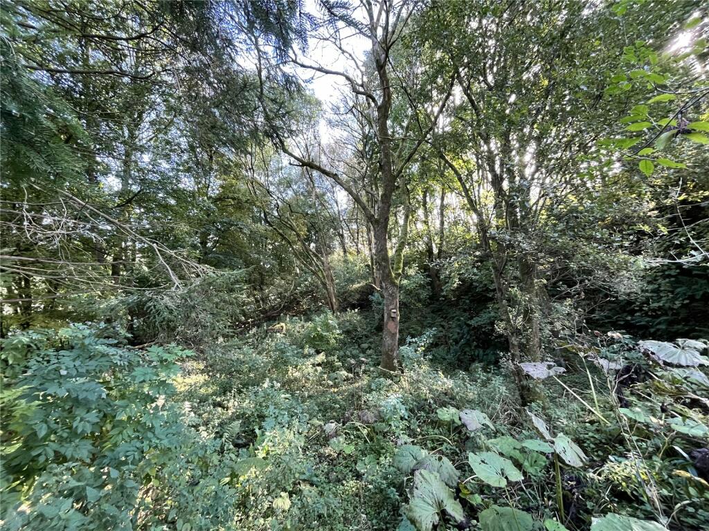 Additional image 21 of Greenhead, Brampton, CA8