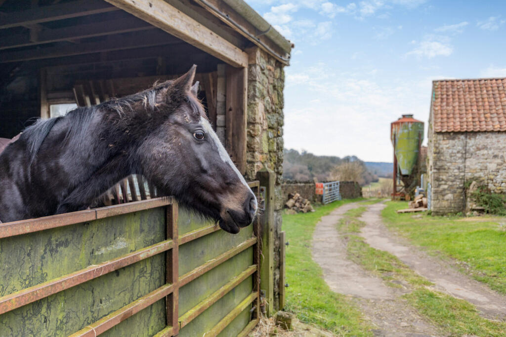 Additional image 43 of Hyatts Wood Road, Bristol, BS48
