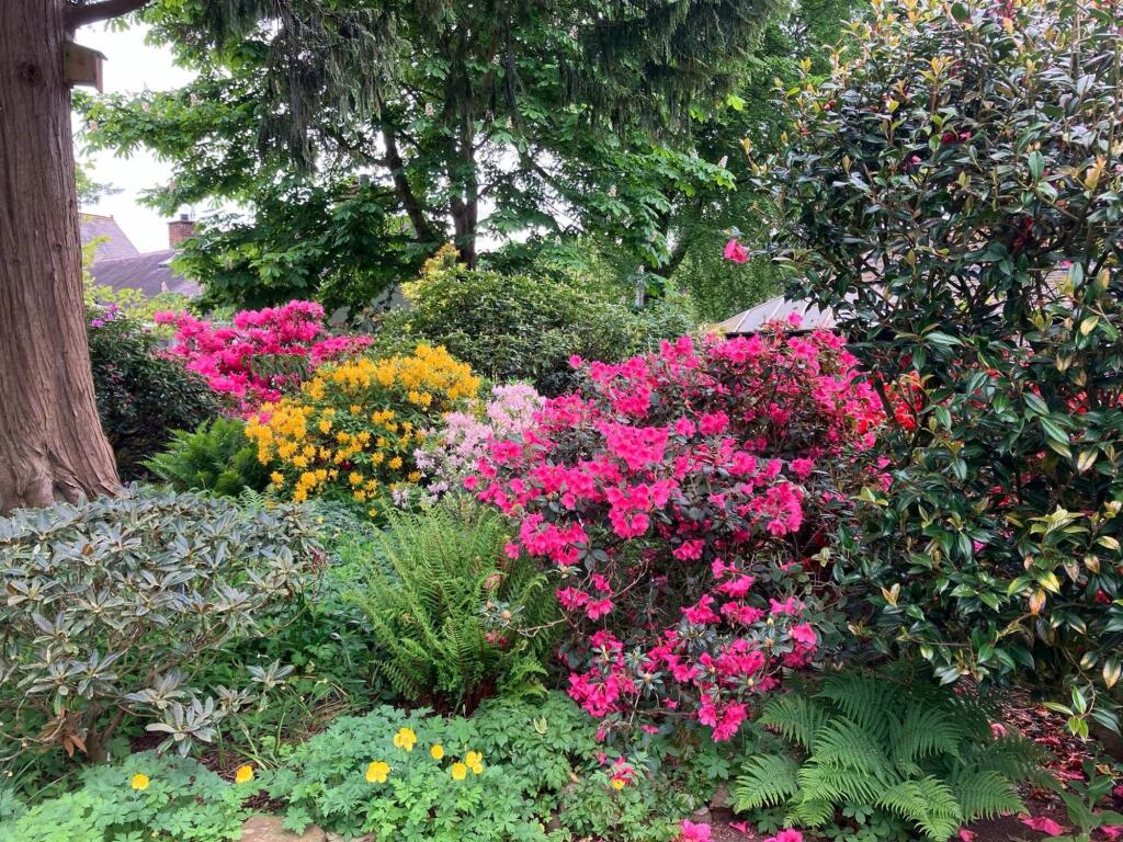 Additional image 27 of Great Corby, Carlisle, CA4