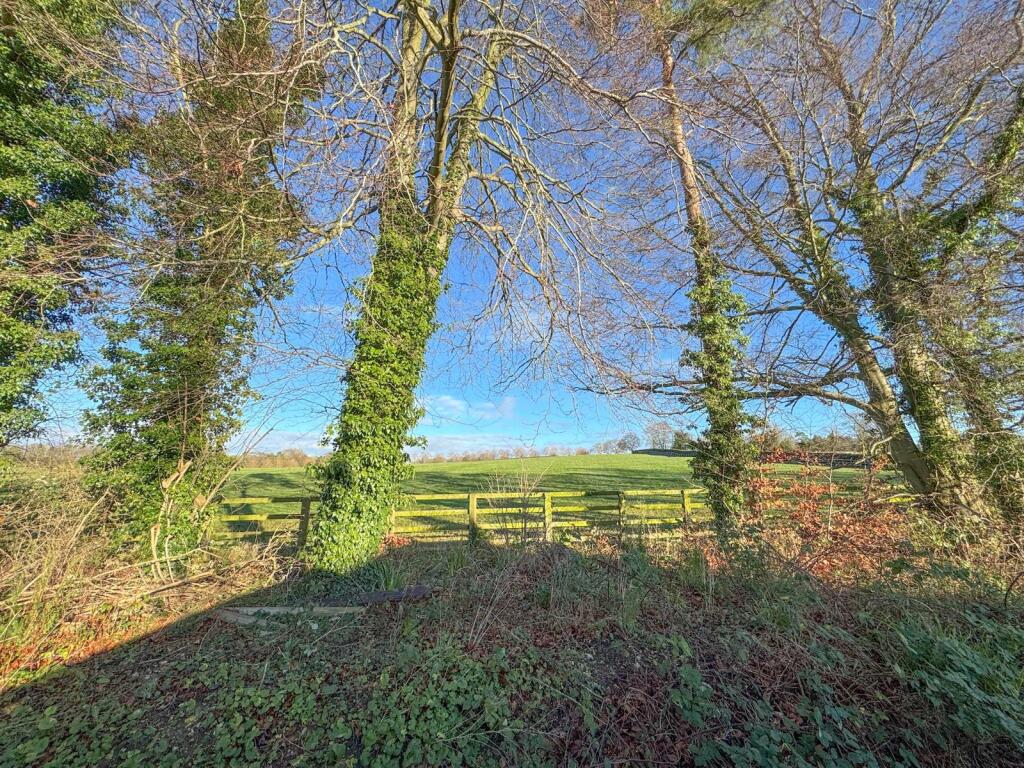 Additional image 26 of Newmarket Road, Cheveley, Newmarket, Suffolk, CB8