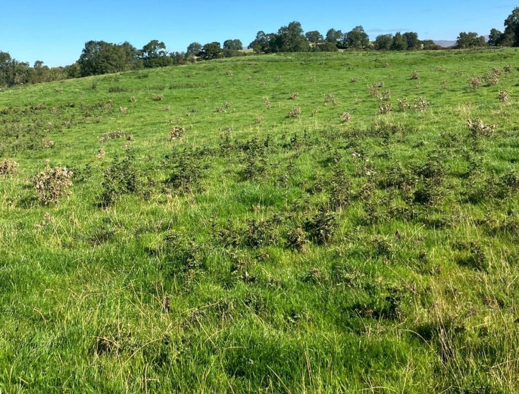 Additional image 4 of Land At Crosby Garrett, Kirkby Stephen