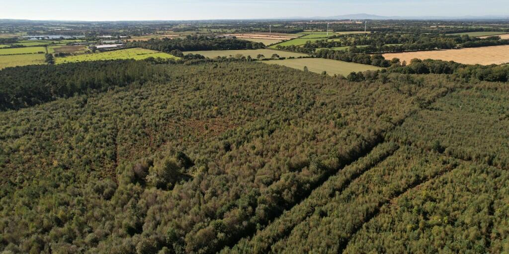 Additional image 6 of Sowerby Wood, Carlisle, Cumbria, CA5