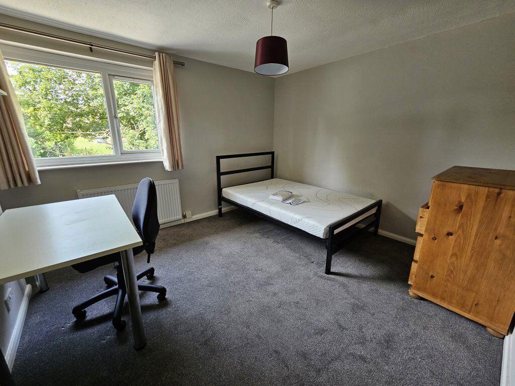 Additional image 9 of Cheviots