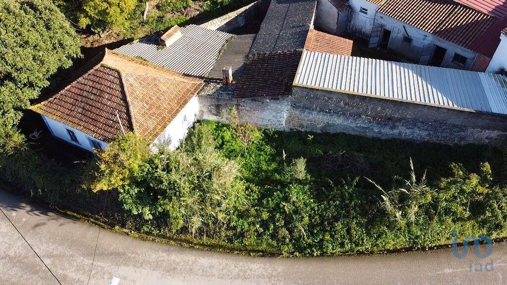 Additional image 3 of Ribatejo, Santarém, Portugal