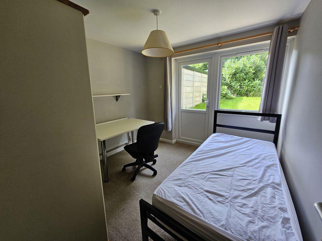 Additional image 5 of Cheviots