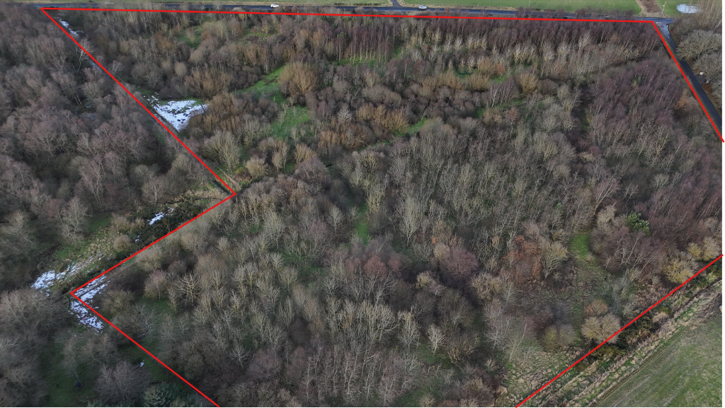 Additional image 4 of Barra Moss Woodland, Oldmeldrum