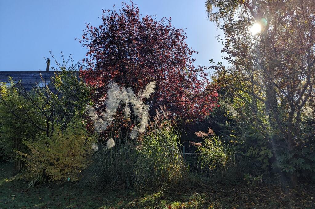 Additional image 39 of London Road, Harston, CB22