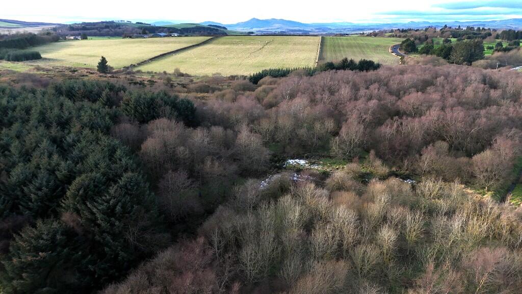 Additional image 7 of Barra Moss Woodland, Oldmeldrum