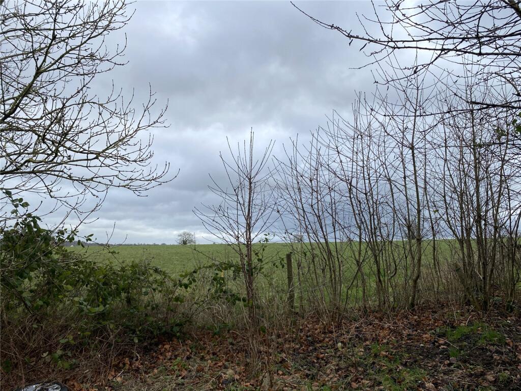 Additional image 4 of Newbury, Frome, Somerset, BA11