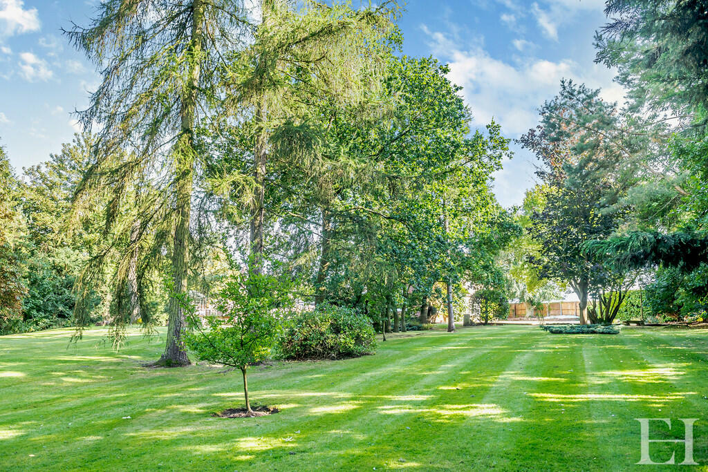 Additional image 28 of Sturmer