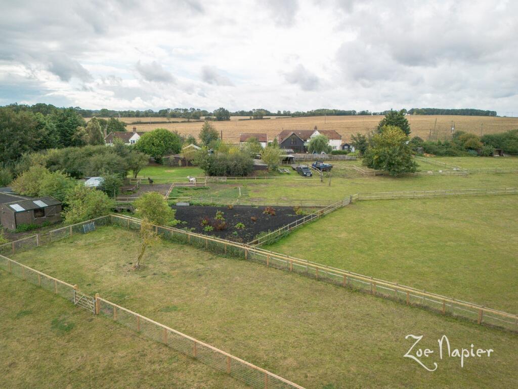 Additional image 31 of Sturmer