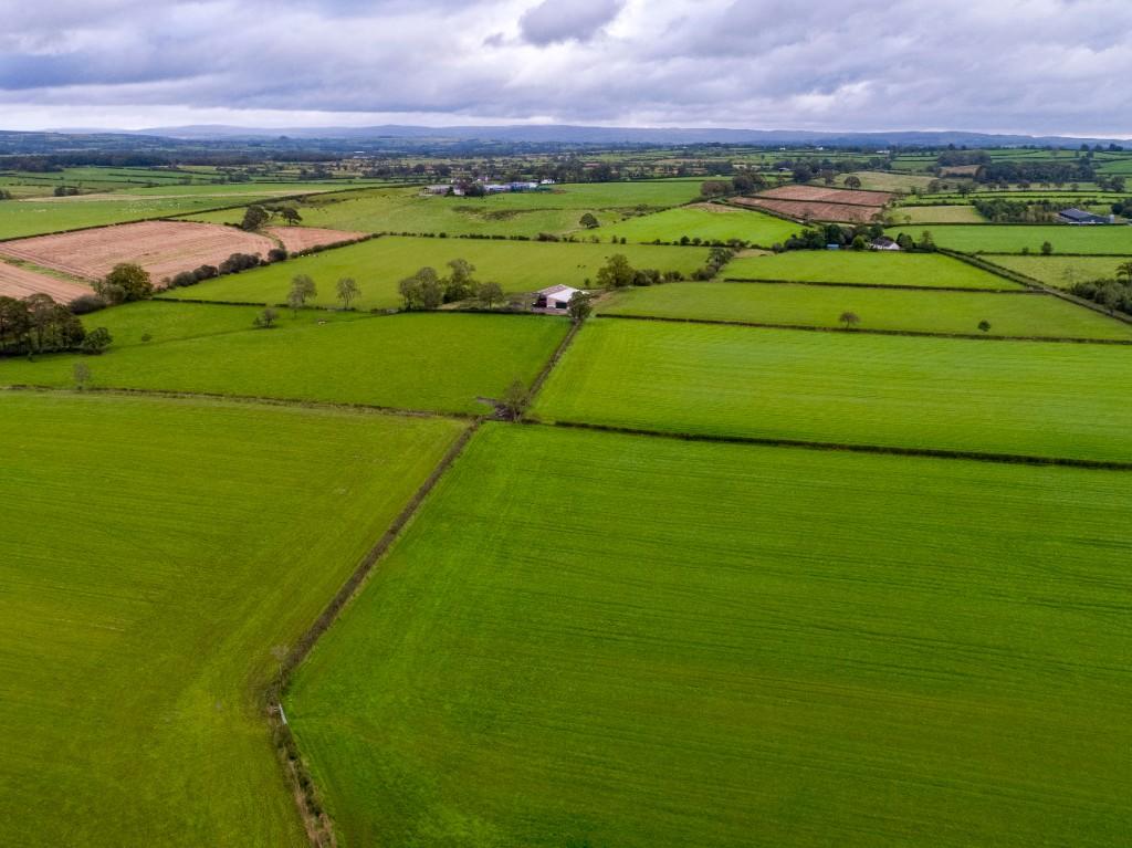 Additional image 3 of Lot 2 - Land - Stubb Farm, Kirklinton, CA6 6BB