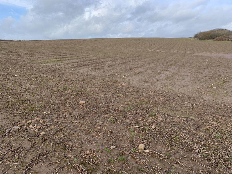 Primary image of Lot 4 - Land at Ehenside Farm, Braystones, Beckermet, CA21 2YL -