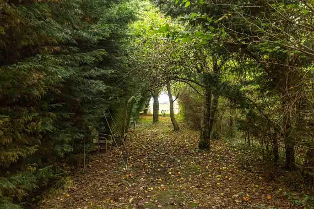 Additional image 10 of Broadway, Bourn, Cambridge