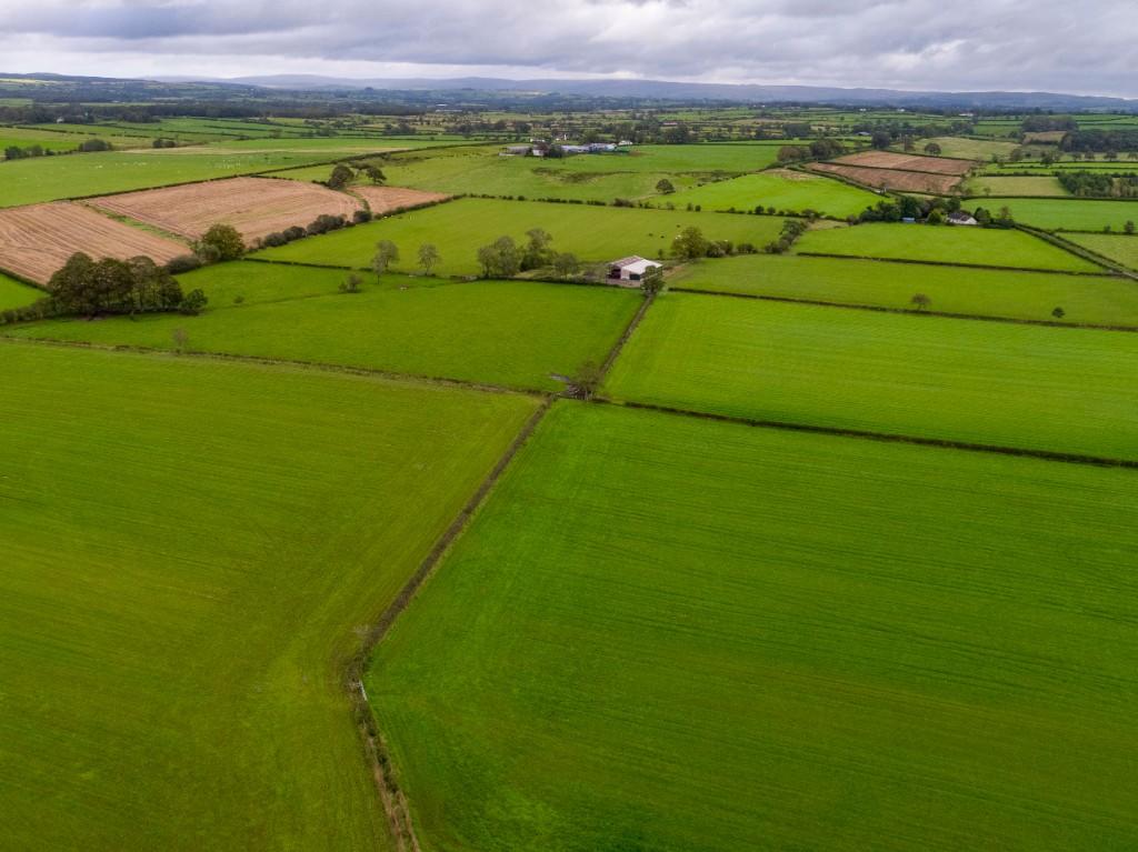 Additional image 4 of Lot 2 - Land - Stubb Farm, Kirklinton, CA6 6BB