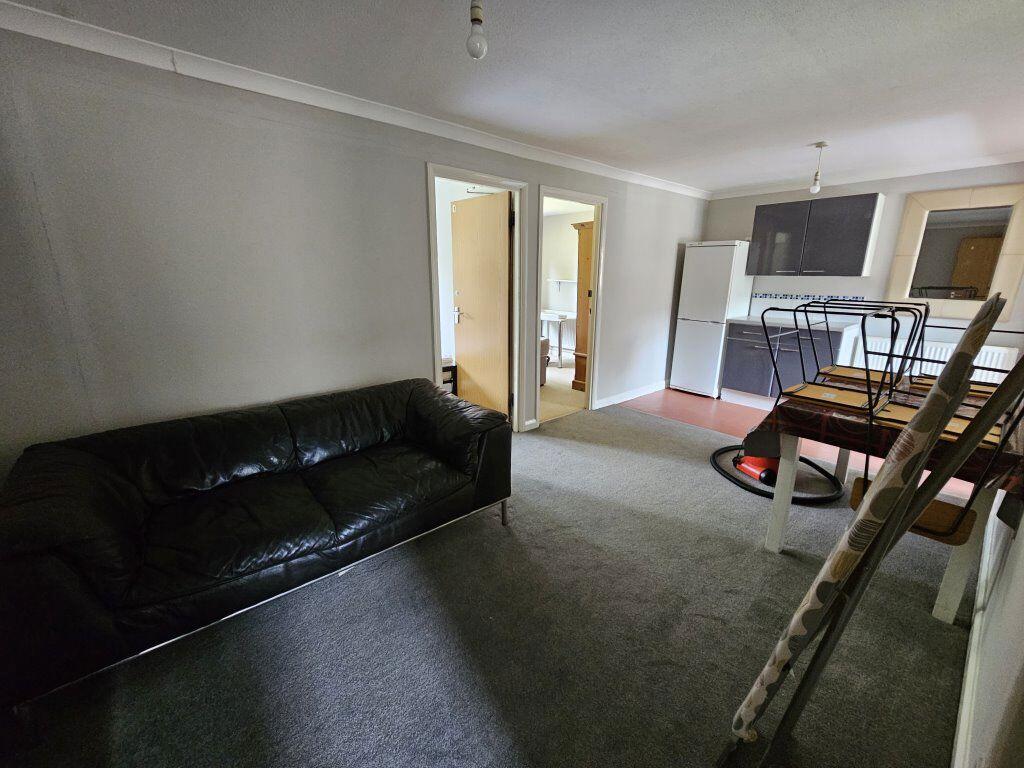 Additional image 4 of Cheviots