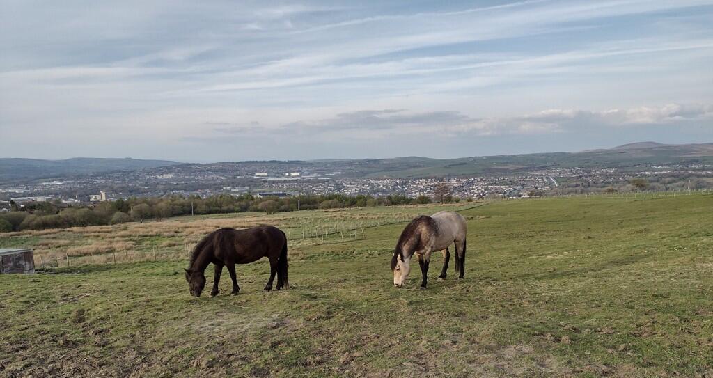 Additional image 9 of Land And Stables To The West Of Woodplumpton Road, Burnley, Lancashire, BB11 3RR