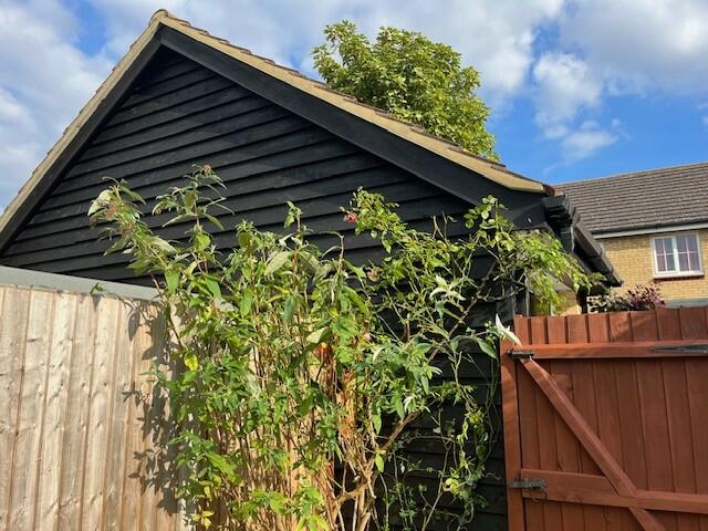 Additional image 15 of Woodlark Drive, Cottenham