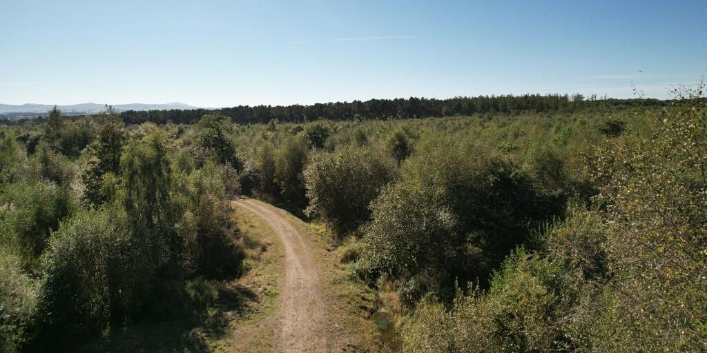 Additional image 10 of Sowerby Wood, Carlisle, Cumbria, CA5