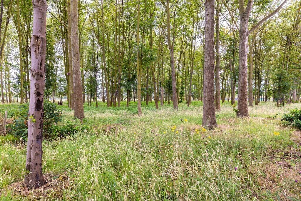 Additional image 14 of Massingham Way, Waterbeach, Cambridge, CB25