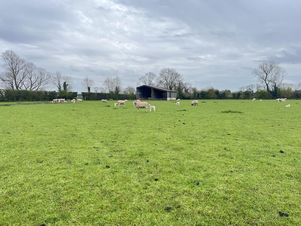 Additional image 4 of Land Off Holywell Ferry Road, Fen Drayton, Cambridge, Cambridgeshire, CB24 4TE