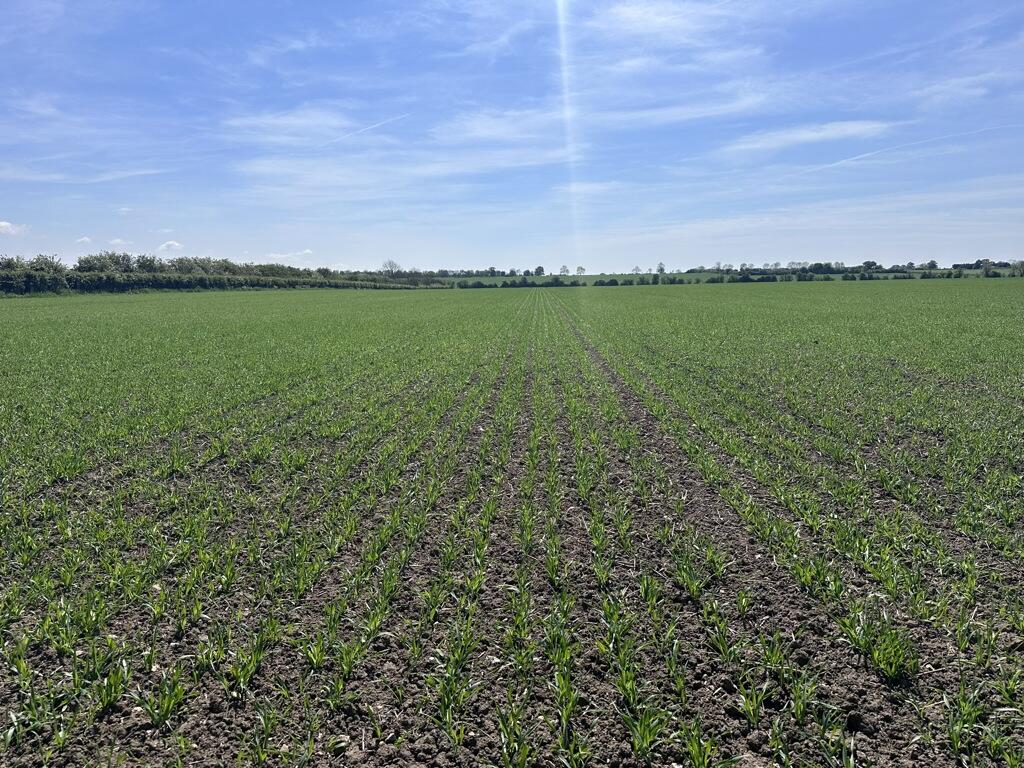 Additional image 9 of Arable Land At Coveney, Short Causeway, Witcham, Cambridgeshire, CB6 2DG