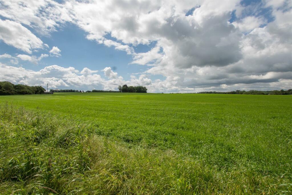 Additional image 11 of Borradale Court, Steeple Bumpstead