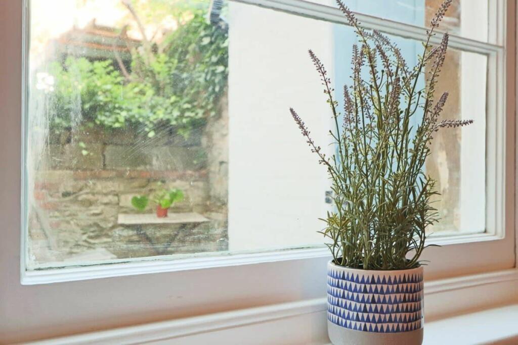 Additional image 11 of Alma Vale Road, Bristol