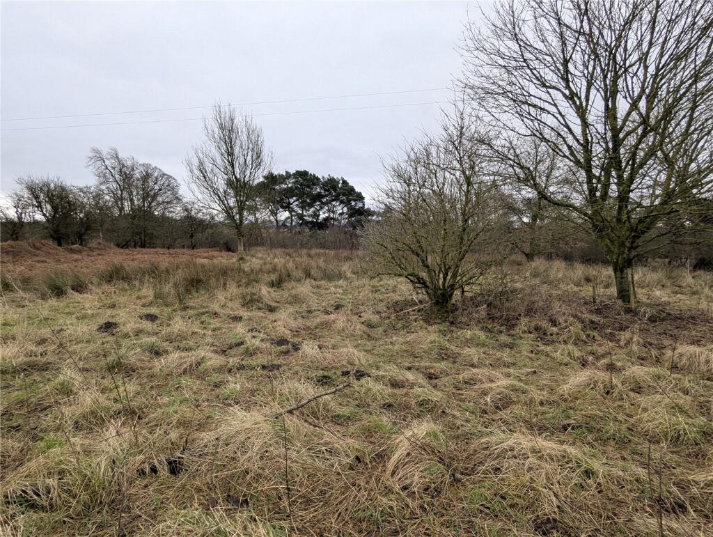 Additional image 14 of Hill Head Farm, Walton, Brampton