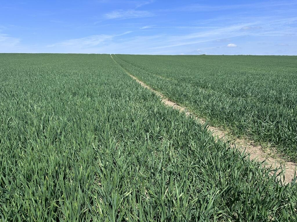 Additional image 8 of Arable Land At Coveney, Short Causeway, Witcham, Cambridgeshire, CB6 2DG