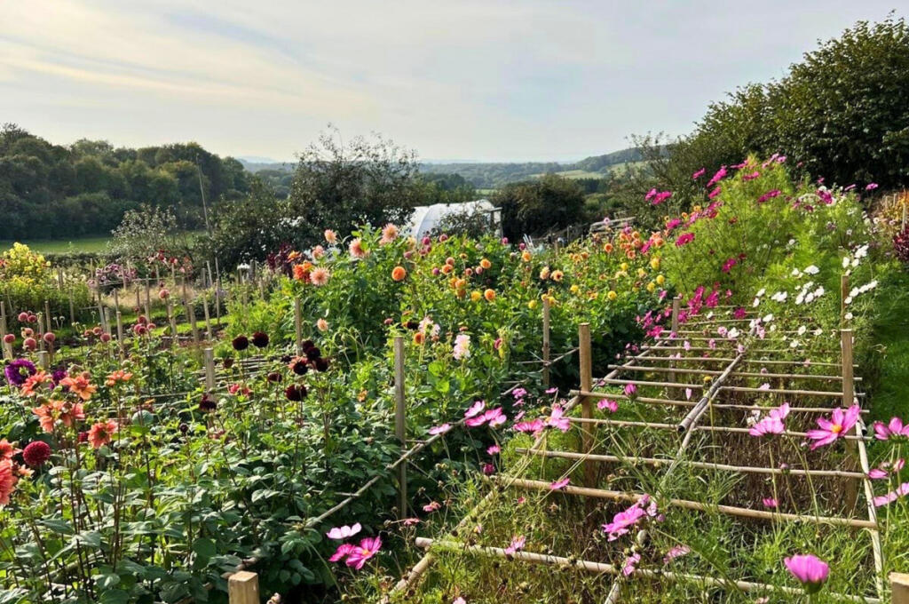 Additional image 47 of Hyatts Wood Road, Bristol, BS48