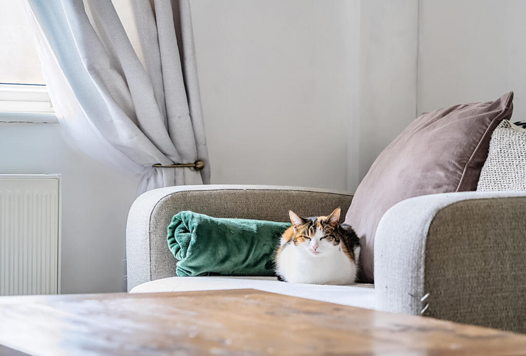 Additional image 21 of Hillside Crescent, Midsomer Norton, Radstock, Somerset, BA3