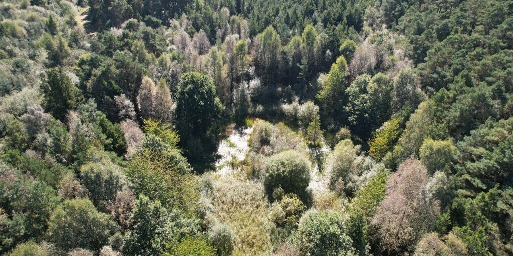 Additional image 17 of Sowerby Wood, Carlisle, Cumbria, CA5