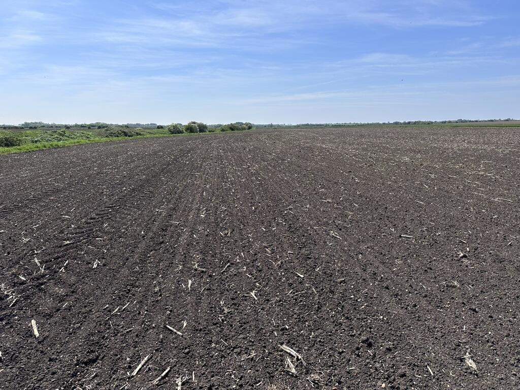 Additional image 3 of Arable Land At Coveney, Short Causeway, Witcham, Cambridgeshire, CB6 2DG