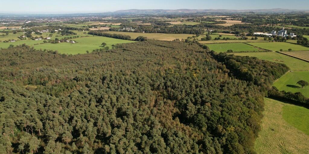 Additional image 22 of Sowerby Wood, Carlisle, Cumbria, CA5