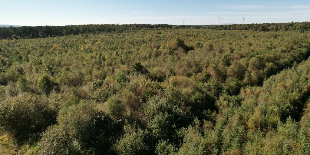 Additional image 11 of Sowerby Wood, Carlisle, Cumbria, CA5