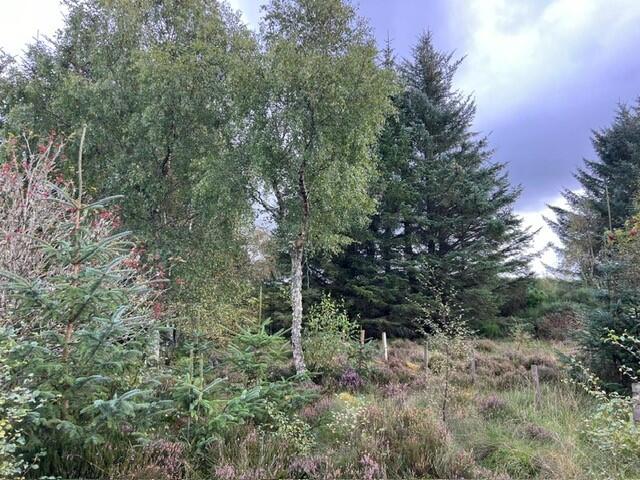 Additional image 9 of Drybridge, Buckie, Moray