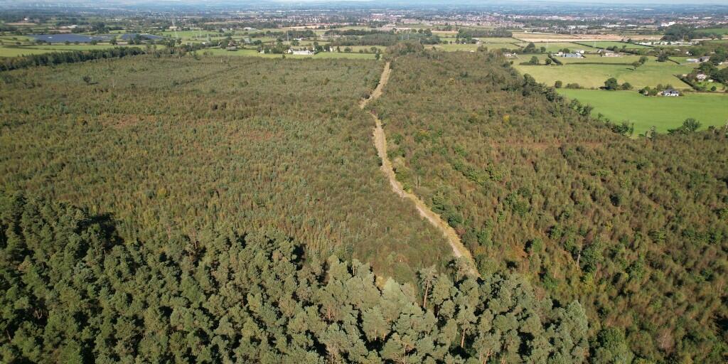 Additional image 8 of Sowerby Wood, Carlisle, Cumbria, CA5