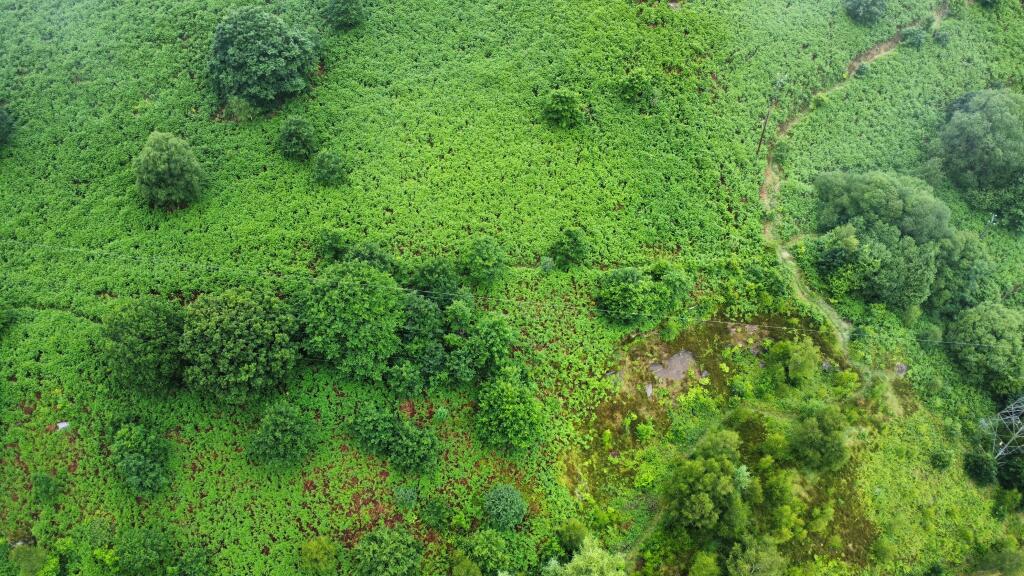 Additional image 23 of Lot 1 Land adjacent to, Llanwonno Road, Mountain Ash, Rhondda Cynon Taf, CF45