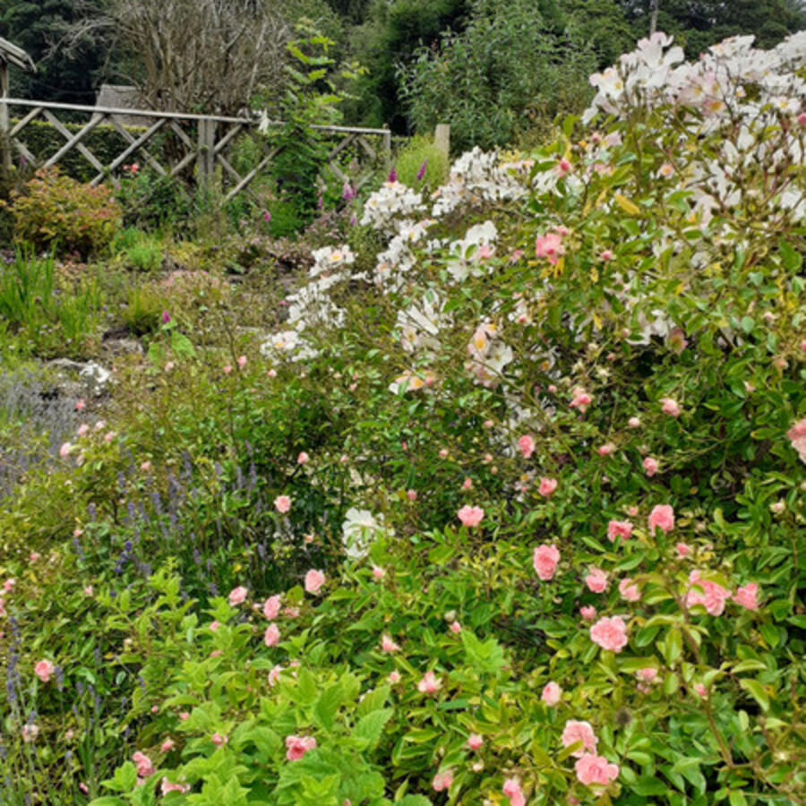 Additional image 29 of The Village, Burton, CH64 5