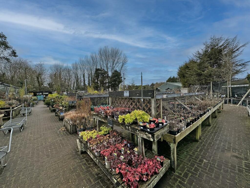 Additional image 6 of Brynawel Fuchsia & Garden Centre, Sully Road, Penarth, Vale of Glamorgan, CF64 2TR