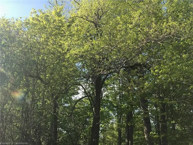 Additional image 27 of 4-258 Edgewater Cres