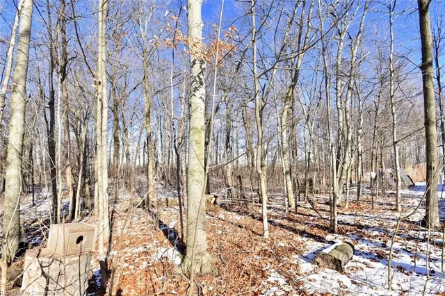 Additional image 39 of 9360 Dickenson Road Rd