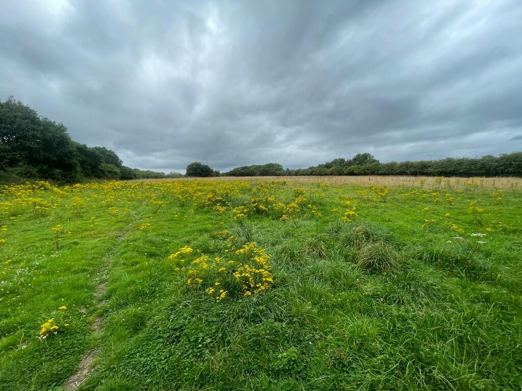 Additional image 7 of Land off Tarporley road, Tarvin, CH3 8NF