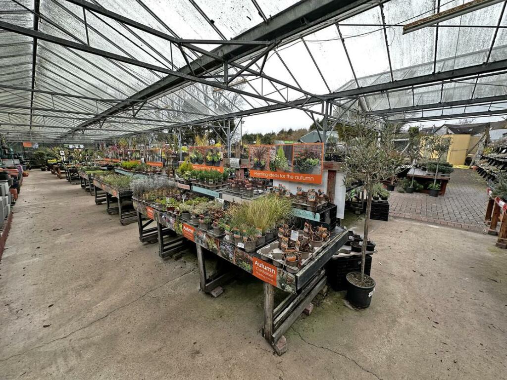 Additional image 9 of Brynawel Fuchsia & Garden Centre, Sully Road, Penarth, Vale of Glamorgan, CF64 2TR